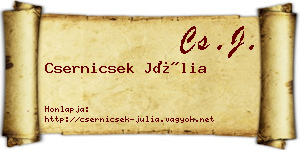 Csernicsek Júlia névjegykártya